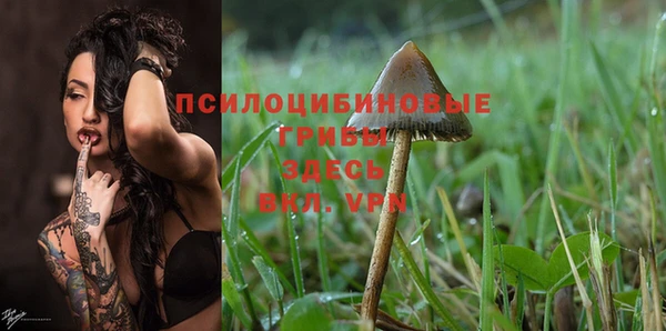 герыч Алексин